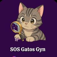 SOS Gatos Gyn - Projeto Voluntário In