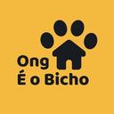 É o Bicho