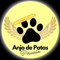 Anjos de Patas
