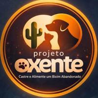 Amor em Movimento