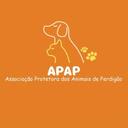 APAP/ Ajude um Amigo de Rua