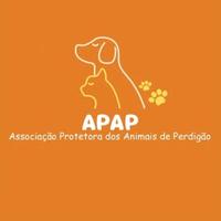APAP/ Ajude um Amigo de Rua