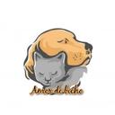 Amor de Bicho Chapecó