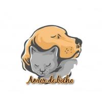 Amor de Bicho Chapecó