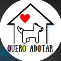 Projeto Quero Adotar