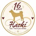 Hachi Proteção Animal