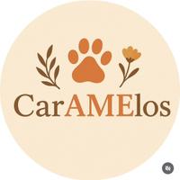 Projeto Caramelos
