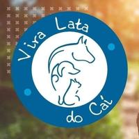 Vira Lata do Caí