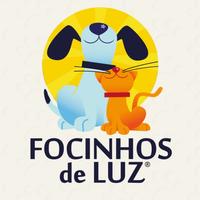 Focinhos de Luz