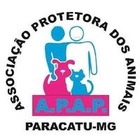 APAP - Associação Protetora dos Animais