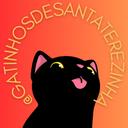 Gatinhos de Santa Terezinha