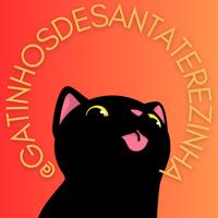Gatinhos de Santa Terezinha