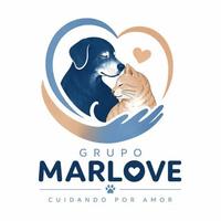 Grupo Marlove - Causa Animal