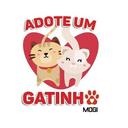 Adote um Gatinho - Mogi Mirim