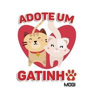 Adote um Gatinho - Mogi Mirim