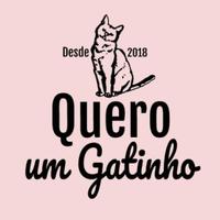 Quero um Gatinho