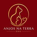 Anjos na Terra SP