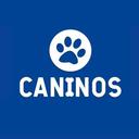 Caninos Lar Temporário