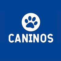 Caninos Lar Temporário