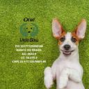 Vida Bixo Oficial Causa Animal