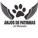 Anjos de Patinhas