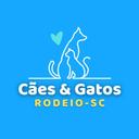 Associação Protetora dos Animais Cães e Gatos de Rodeio