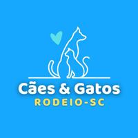Associação Protetora dos Animais Cães e Gatos de Rodeio