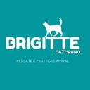 Resgate e Proteção Animal Pipa