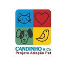 Projeto Candinho e Cia