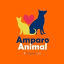 Amparo Animal Chapecó