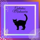 Gatinhos Medianeira