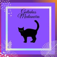 Gatinhos Medianeira