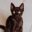 Recanto dos Pets CG - Oficial
