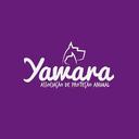 Yawara Associação de Proteção Animal