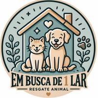 Em Busca de 1 Lar