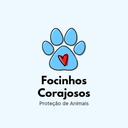 Focinhos Corajosos