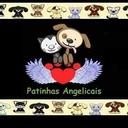 Patinhas Angelicais