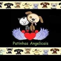 Patinhas Angelicais