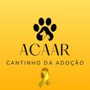 Cantinho da Adoção