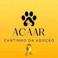 Cantinho da Adoção