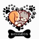 Bichíneos Bichíneos
