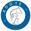 Adote - Vira Lata do Caí