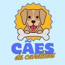 Cães de Candeias