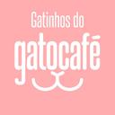 Gatinhos de Botafogo