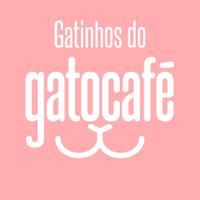 Gatinhos de Botafogo