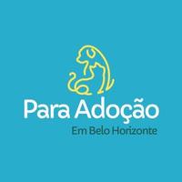 Para Adoção em BH
