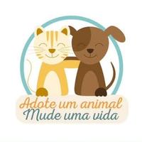 Adota Brusque