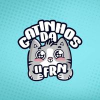 Gatinhos da UFRN