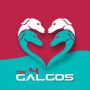 Os 4 Galgos RS