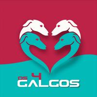 Os 4 Galgos RS